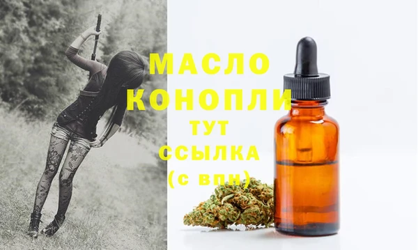 дживик Сатка