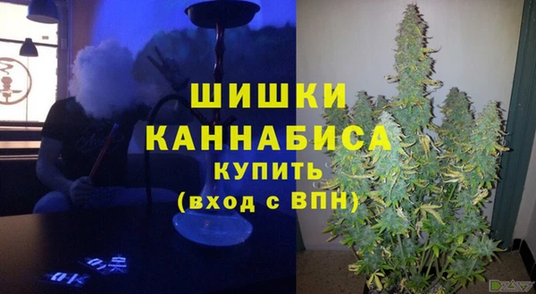 дживик Сатка
